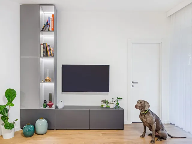 Apartment MS — cover photo