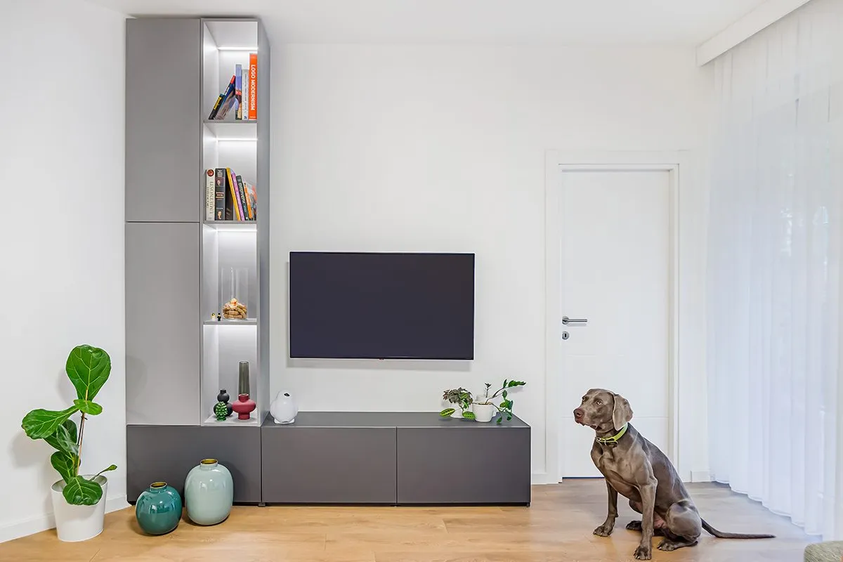 Apartment MS — cover photo